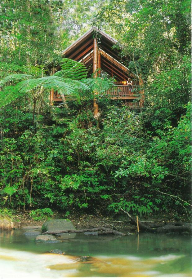 The Canopy Rainforest Treehouses & Wildlife Sanctuary Tarzali Luaran gambar